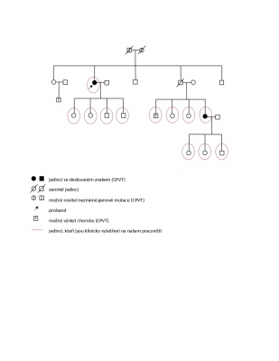 Obr. 5  Genealogick strom. Schma ukazuje prnik choroby v rodin.